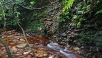 Estado peruano reconoce al Fundo Miguel I, la primera Área de Conservación Privada de la región Ucayali