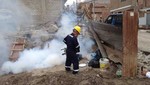 Lima Este: más de 26 000 viviendas son fumigadas para frenar propagación del dengue