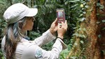Hasta S/ 45 000 para las Mipyme: Produce financiará tecnologías digitales para adaptarse a efectos del cambio climático