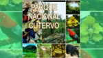 El Parque Nacional de Cutervo