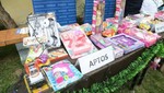 Digesa brinda recomendaciones para la compra adecuada de juguetes por fiestas navideñas
