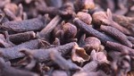 Clavo de olor: una especia milenaria con grandes beneficios para la salud