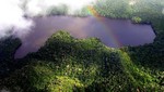 Conservación en el Parque Nacional Cordillera Azul: 25 años protegiendo la Amazonía peruana