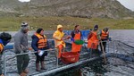 Capacitación gratis para acuicultores con ACUIMPULSA de PRODUCE