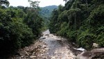 Ejecutivo aprueba la creación del Bosque de Protección Tijae - Río Nieva para conservar fuentes de agua y biodiversidad