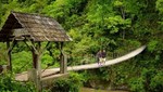 Turistas deberán vacunarse antes de ingresar a la selva central peruana