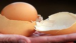 Sujeto encuentra un huevo dentro de otro huevo