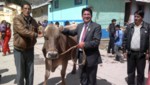 Inauguran XI Festival de la Leche en Pasco