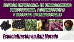 Quedan pocas vacantes para curso 'El Nuevo Agronegocio del Maíz Morado de Exportación'