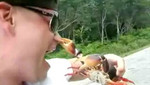 Video: hombre es mordido en la nariz por un cangrejo