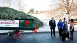 Reciclaje de árboles de Navidad evita contaminación de medio ambiente