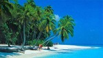 Riviera Maya terminará el 2012 con 3,5 millones de visitantes