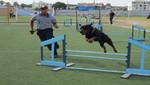 Municipalidad de Barranco realizara primer curso gratuito de adiestramiento canino