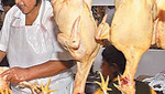 Ofrecen pollos inflados con aire en La Victoria