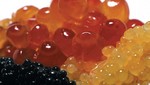 Rusia: Hallan caviar junto a cadáveres en morgue