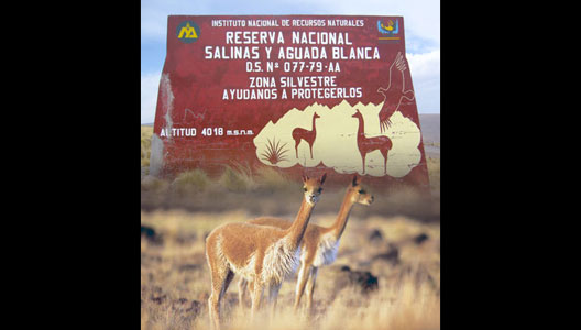 LA MAJESTUOSA AGUADA BLANCA