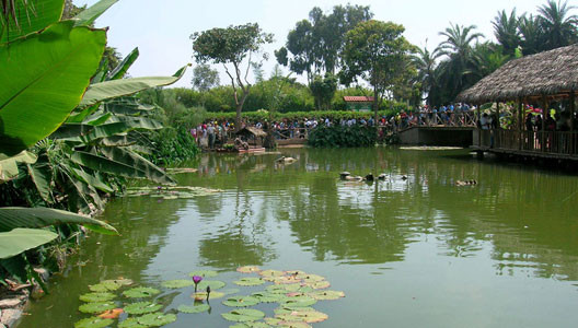 Sesión de pre- boda "parque de las leyendas" 6