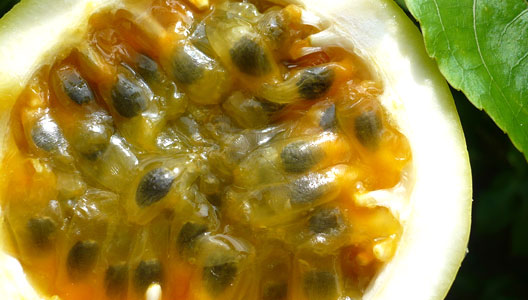 FRUTA DE LA PASIÓN
