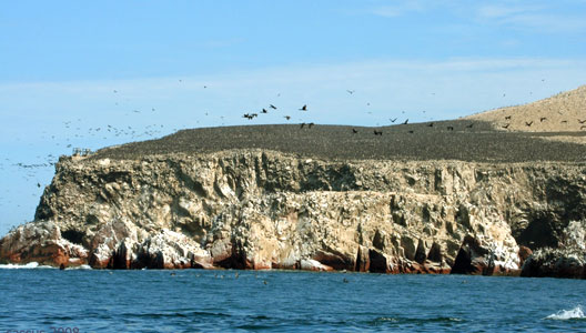 RESERVA NACIONAL DE PARACAS