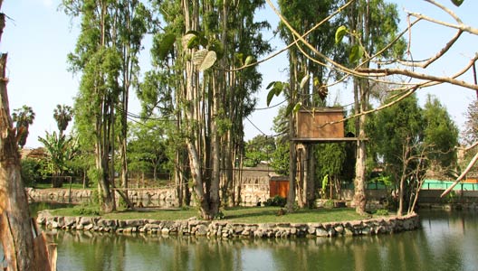 Sesión de pre- boda "parque de las leyendas" 5