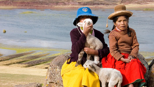 PUNO BAJO CERO