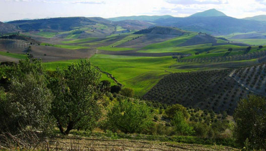 EL CANTO DEL RÍO CHUNCHUCA