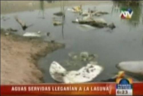 Laguna Huacachina en Ica agoniza