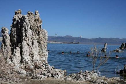 La Nasa halla una nueva forma de vida en la Tierra: una bacteria en el arsénico