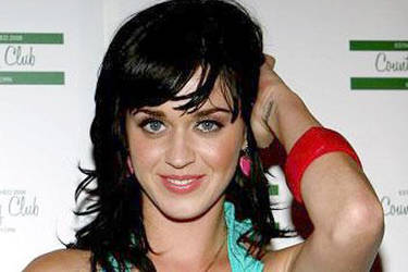 Katy Perry quiere tener fanáticos hombres