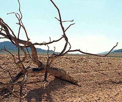 Unos 5 millones de personas morirán por el cambio climático para el 2020