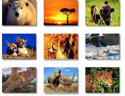 El nuevo Catálogo de Especies Amenazadas incluye cerca de 900