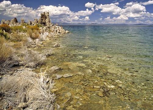 La NASA develó el misterio: Vida en arsénico