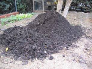 Bolivia: Logran fabricar abono en base a coca