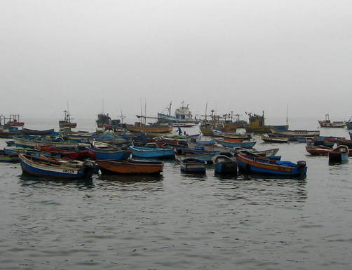 Propuesta peruana sobre pesca artesanal que debatirá la OMC es desconocida por gremios