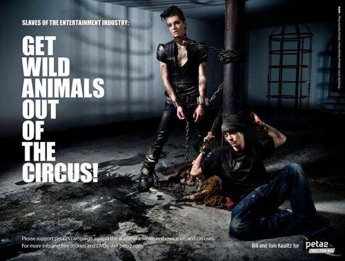 Tokio Hotel apoya a PETA en su nueva campaña no a los circos con animales