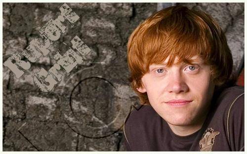 Rupert Grint no quiere leer el final del último libro de la saga Harry Potter