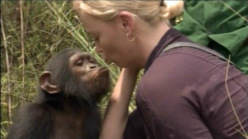 Charlize Theron en defensa de los chimpancés