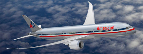 Mujer demanda a American Airlines por $ 15 millones debido a un 'lagarto' en su comida