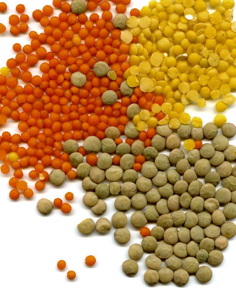Mitos sobre los vegetarianos