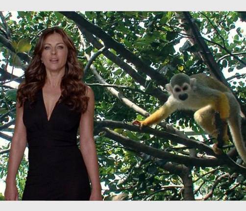 Elizabeth Hurley contra la desforestación en Brasil