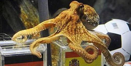 Alemania se niega a vender al pulpo Paul Alemania se niega a vender al pulpo Paul