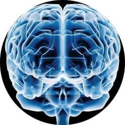 Nutrición mental: Ejercicios para el cerebro