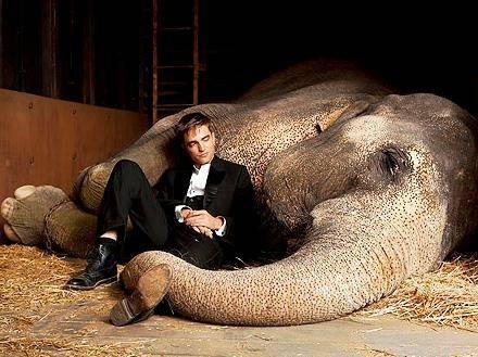 A Robert Pattinson  le gusta trabajar con animales
