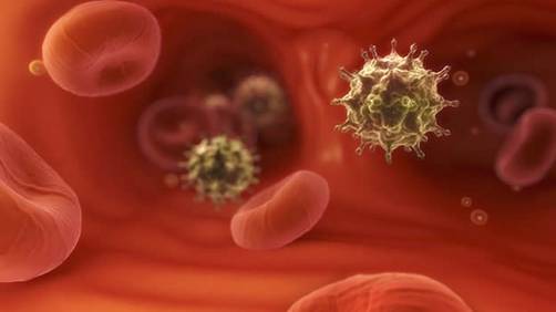 Investigadores reportan posible cura de la infección del VIH