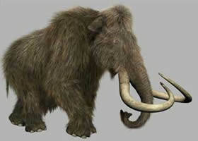 El prehistórico mamut podría volver a la Tierra dentro de cinco años
