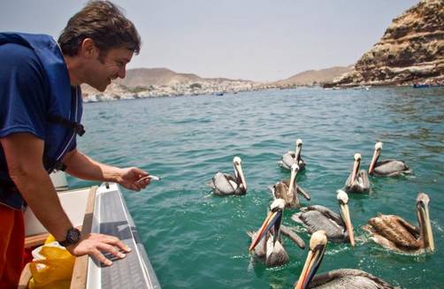 Nieto de Jacques Cousteau llegó al Perú