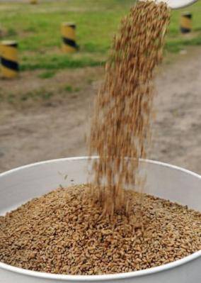 Los productores argentinos inician un paro en el comercio de soja y cereales