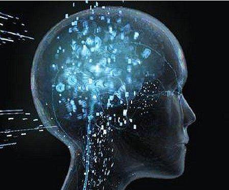 Descubren una bacteria que puede hacernos más inteligentes, según científicos