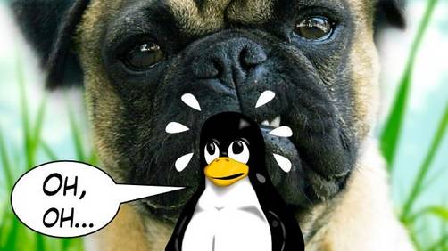 ¿El sistema operativo más inseguro del mundo? Damn Vulnerable Linux ¿El sistema operativo más inseguro del mundo? Damn Vulnerable Linux