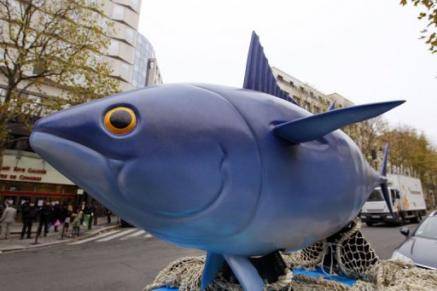 Japón, primer consumidor de atún rojo, reclama controles más severos